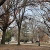 Lincoln Park gift card