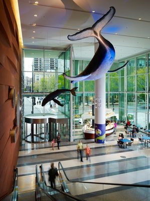 Ann & Robert H. Lurie Children's Hospital of Chicago by null