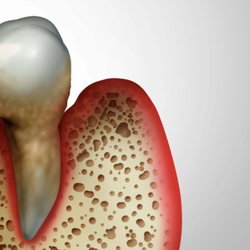 ProHEALTH Dental