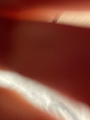 RedSeven Kitchen + Cocktail by null