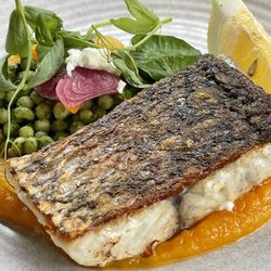 love.fish - Barramundi