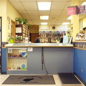 vca big lake animal hospital