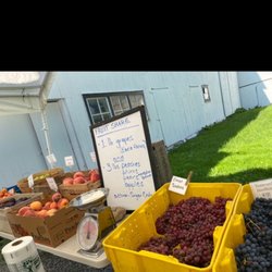 Root Down Farm