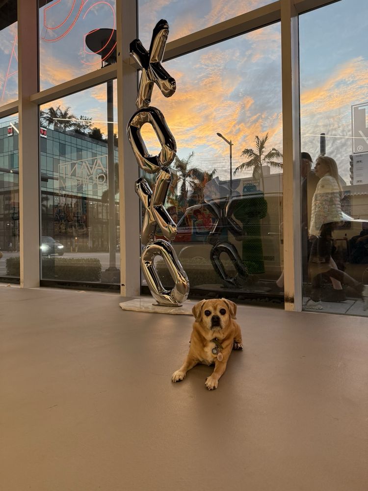 Eco Deco Pet Hospital Image