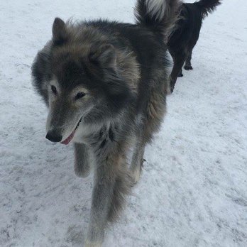 Creekside Resort - Pet Sitting Near Me - Walworth, New York Creekside Resort - Pet Sitting Near Me - Walworth, New York
