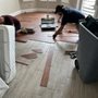 Photo of Maximo Flooring