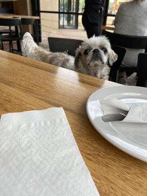 Pies & Pints - Carmel, IN by null