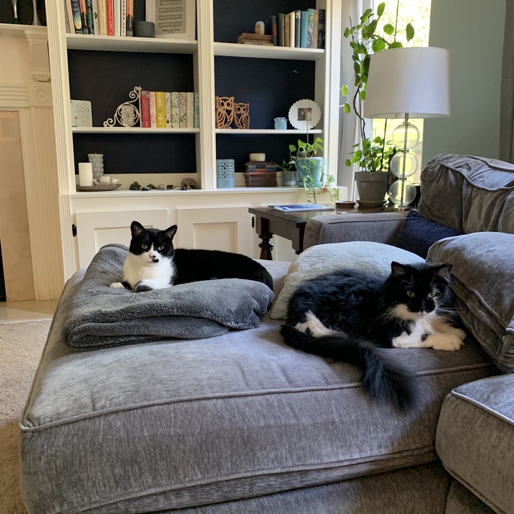 MedVet Cleveland - Tito & Olive - Emergency Pet Hospital Near Me - Cleveland, Ohio