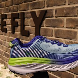 Shoe Fly
