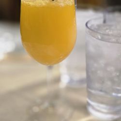 Mimosa w mango