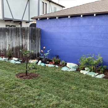 Urban Soil Landscape - This is another view - Landscaping Near Me - Van Nuys, California Urban Soil Landscape - This is another view - Landscaping Near Me - Van Nuys, California