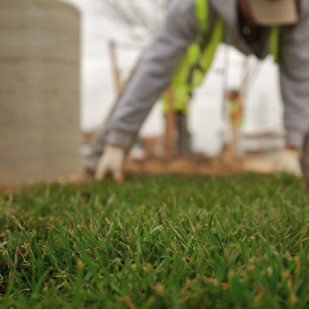 Guzman Landscaping - a man working on a lawn - Tree Services Near Me Guzman Landscaping - a man working on a lawn - Tree Services Near Me