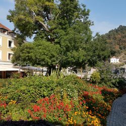 Restaurant am Paulusbogen - Zwischen Donau und kleinem Park