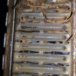 Gold Star Radiator North