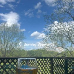 Burnley Vineyards - Outdoor seating area