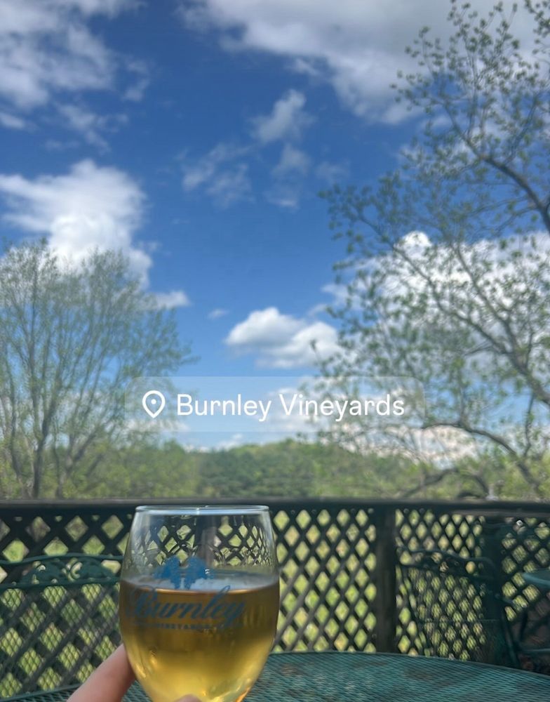 Burnley Vineyards Logo