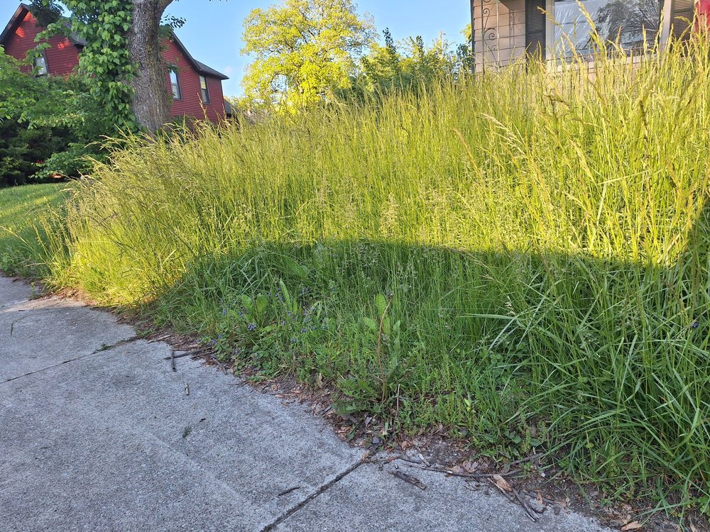 All About Tree & Turf Services - tree service in Fort Wayne, IN