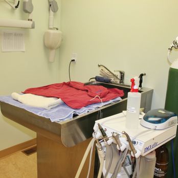 Roncy Village Veterinary Clinic - Veterinarians Near Me - Toronto, Ontario Roncy Village Veterinary Clinic - Veterinarians Near Me - Toronto, Ontario