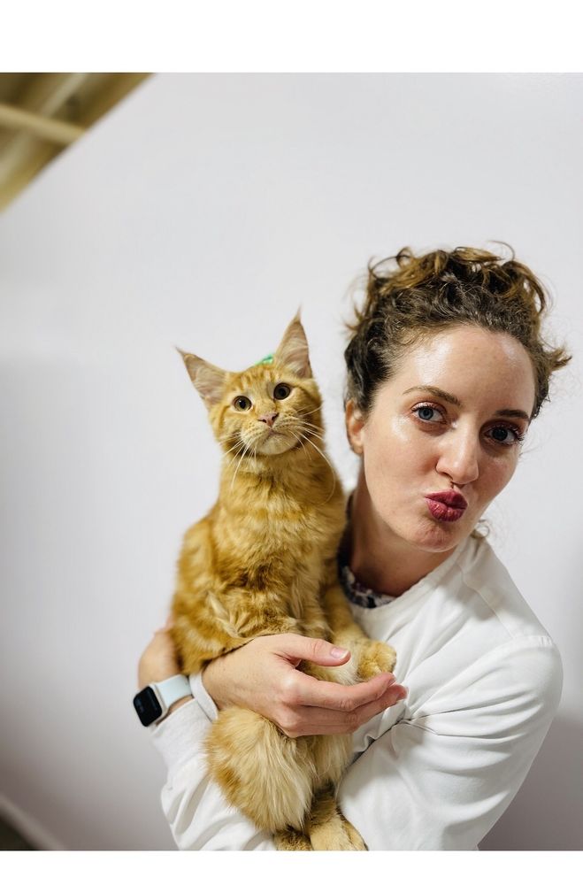Pounce Hawaii - pet boarding facility in Honolulu, HI