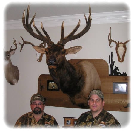 Puma Taxidemy - taxidermy in Millsap, TX