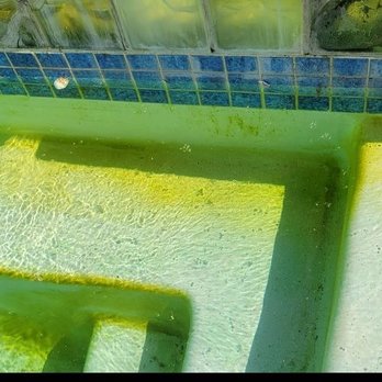 Premium Pool Service - More damaged - Pool Cleaners Near Me Premium Pool Service - More damaged - Pool Cleaners Near Me