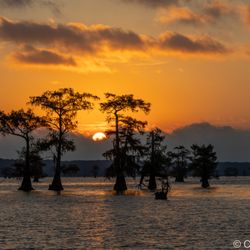 Caddo Lake - A beautiful lake