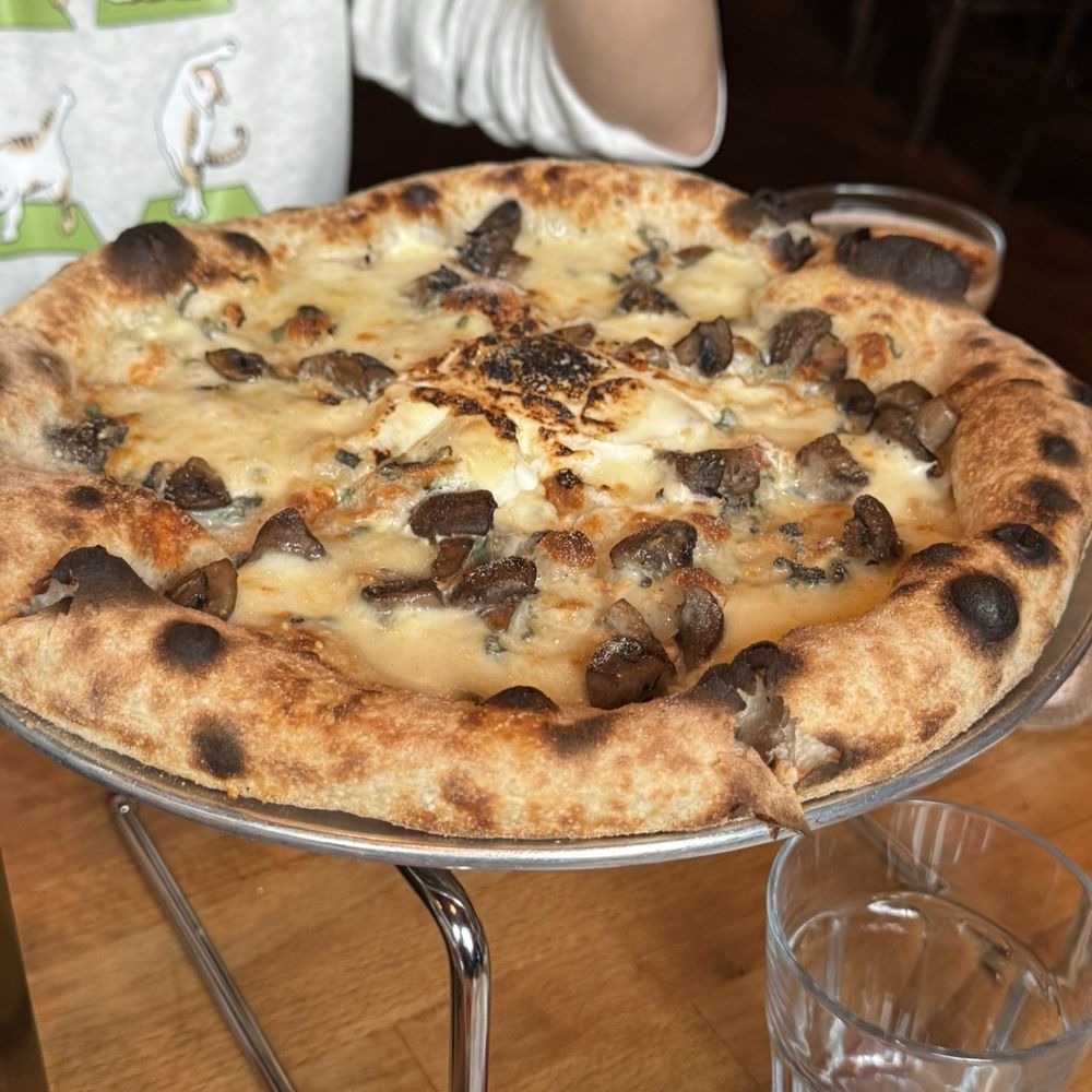 Belli Osteria - Italian Near Me - Brooklyn, New York