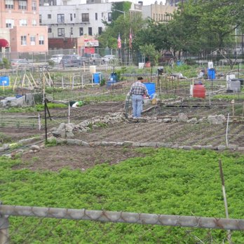 Coney Island - Community Gardens Posted 11/25/20 - Local Flavor Near Me - Brooklyn, New York