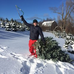Kolarik Christmas Tree Farm