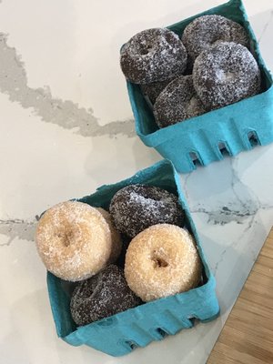 Satellite Doughnuts by null