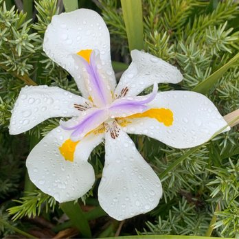 Mission Bay Montessori Academy 67 Photos 16 Reviews Elementary Schools 2640 Soderblom Ave San Diego Ca Phone Number