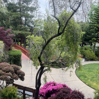 Creekside Inn - Outside the room - Hotels Near Me - Palo Alto, California
