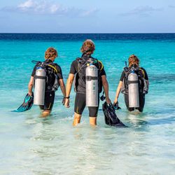 VIP Diving