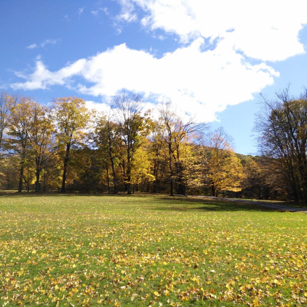 Macedonia Brook State Park - One of the bigger campsites with a huge field - Parks Near Me - Kent, Connecticut