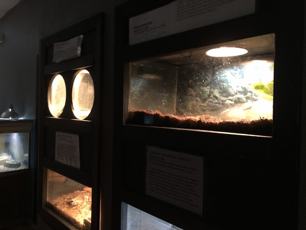 THE NATIONAL PARK AQUARIUM CLOSED Updated August 2024 14 Photos