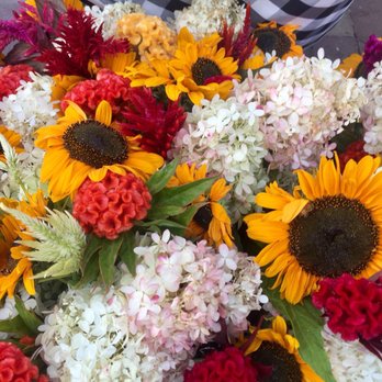 Copley Square Farmers Market - Farmers Market Near Me - Boston, Massachusetts Copley Square Farmers Market - Farmers Market Near Me - Boston, Massachusetts