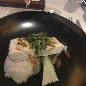 Spago - Steamed Halibut - New American Near Me - Las Vegas, Nevada