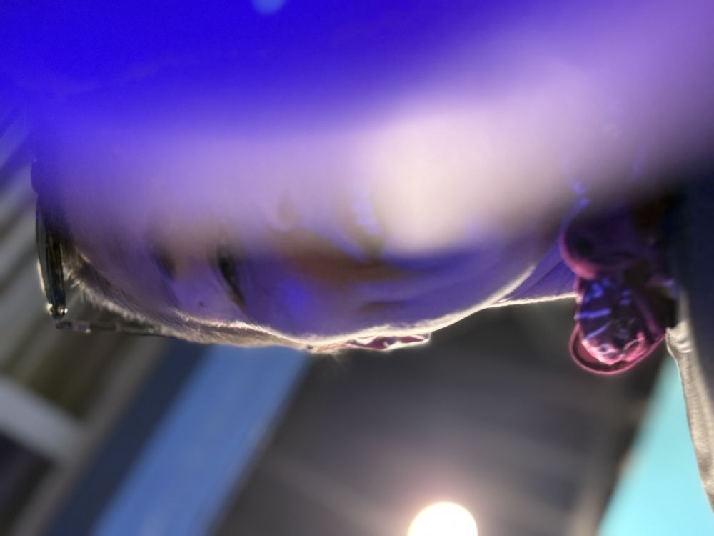 East Idaho Aquarium - social services organization in Idaho Falls, ID