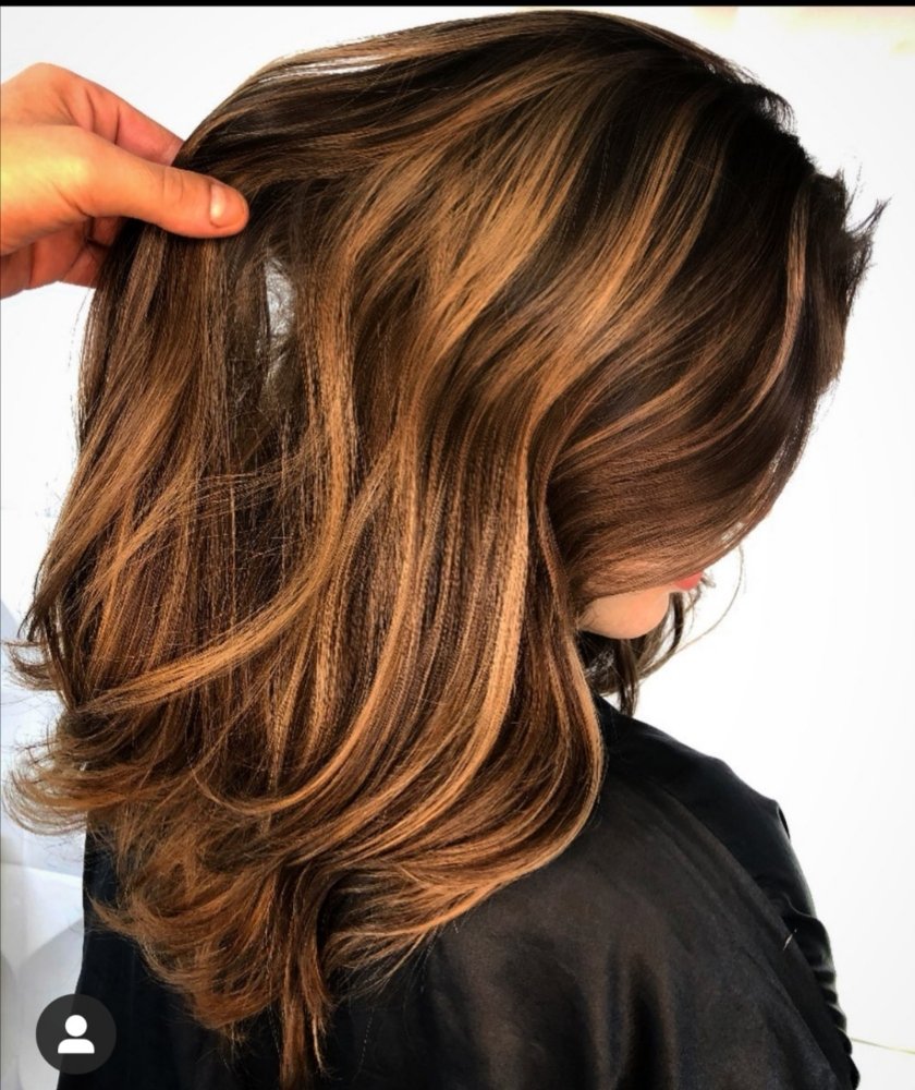 Hair by Stefano Palminteri Logo