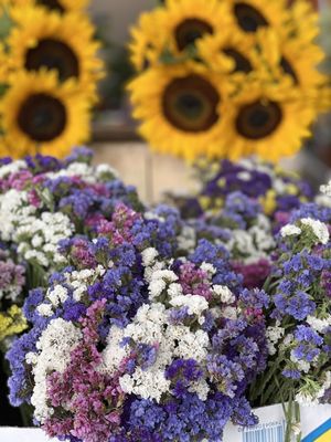 Briermere Farms by null