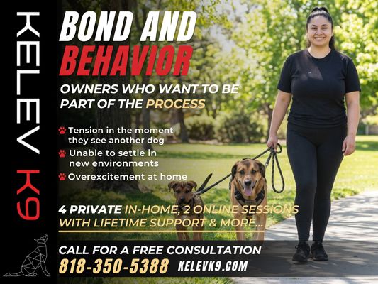 Kelev K-9 on Yelp