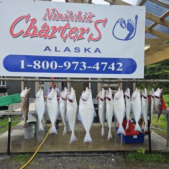 Ninilchik Charters - First trip take. Nice bunch of halibut - Boat Charters Near Me - Ninilchik, Alaska