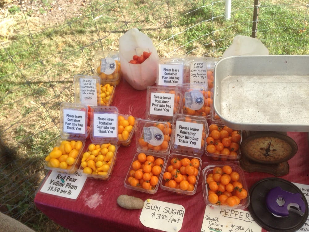 BILL’S PRODUCE FARM STAND Updated August 2024 Creamery Rd, New Hope