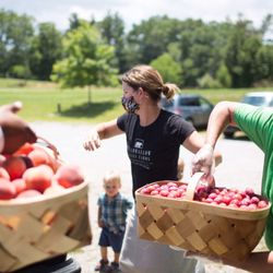 Bearwallow Valley Farms