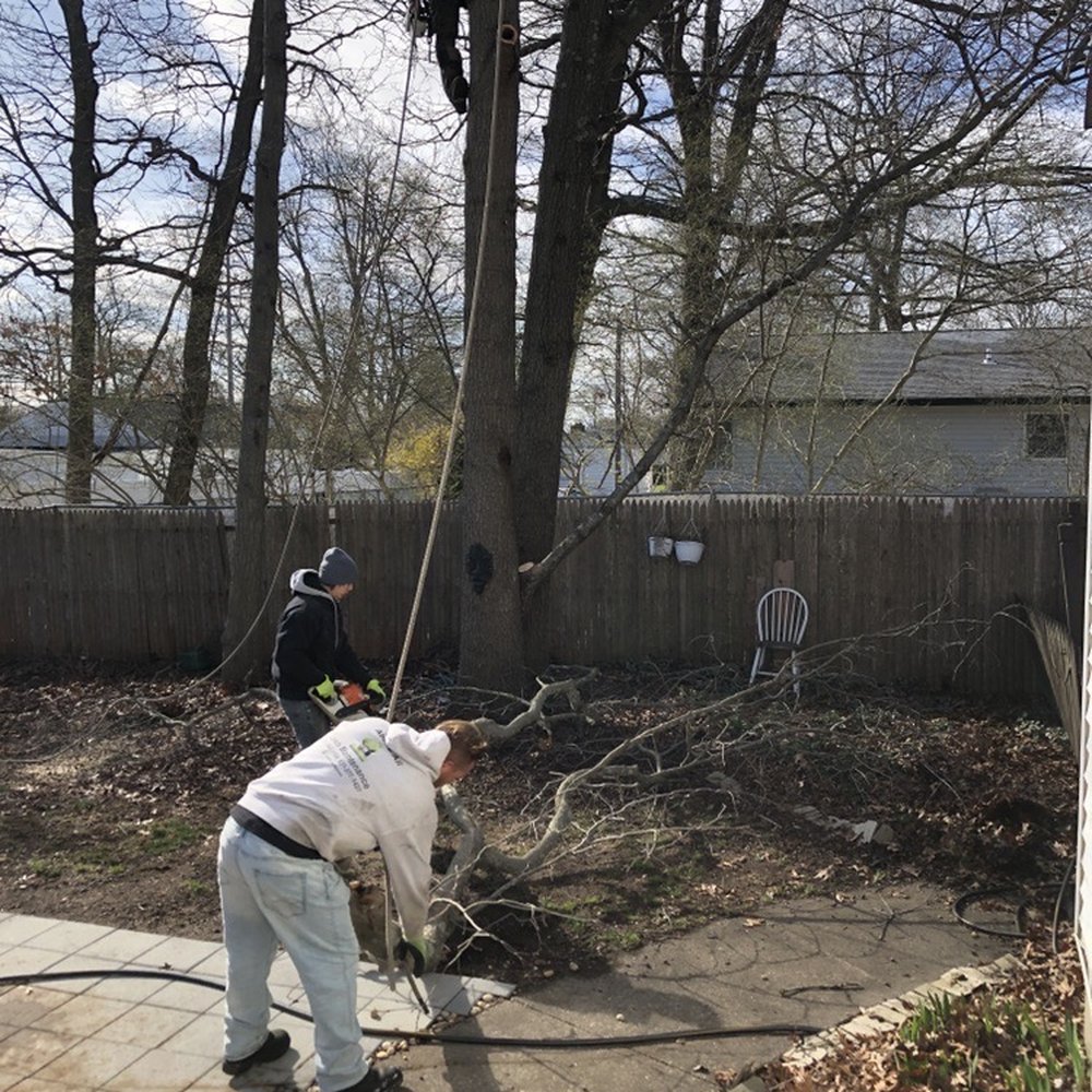 Big R Tree Service - Tree Services Near Me - Selden, New York Big R Tree Service - Tree Services Near Me - Selden, New York