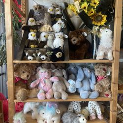 Flowers & Events