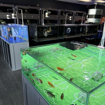 J&Y Aquarium - Local Fish Stores Near Me - Las Vegas, Nevada