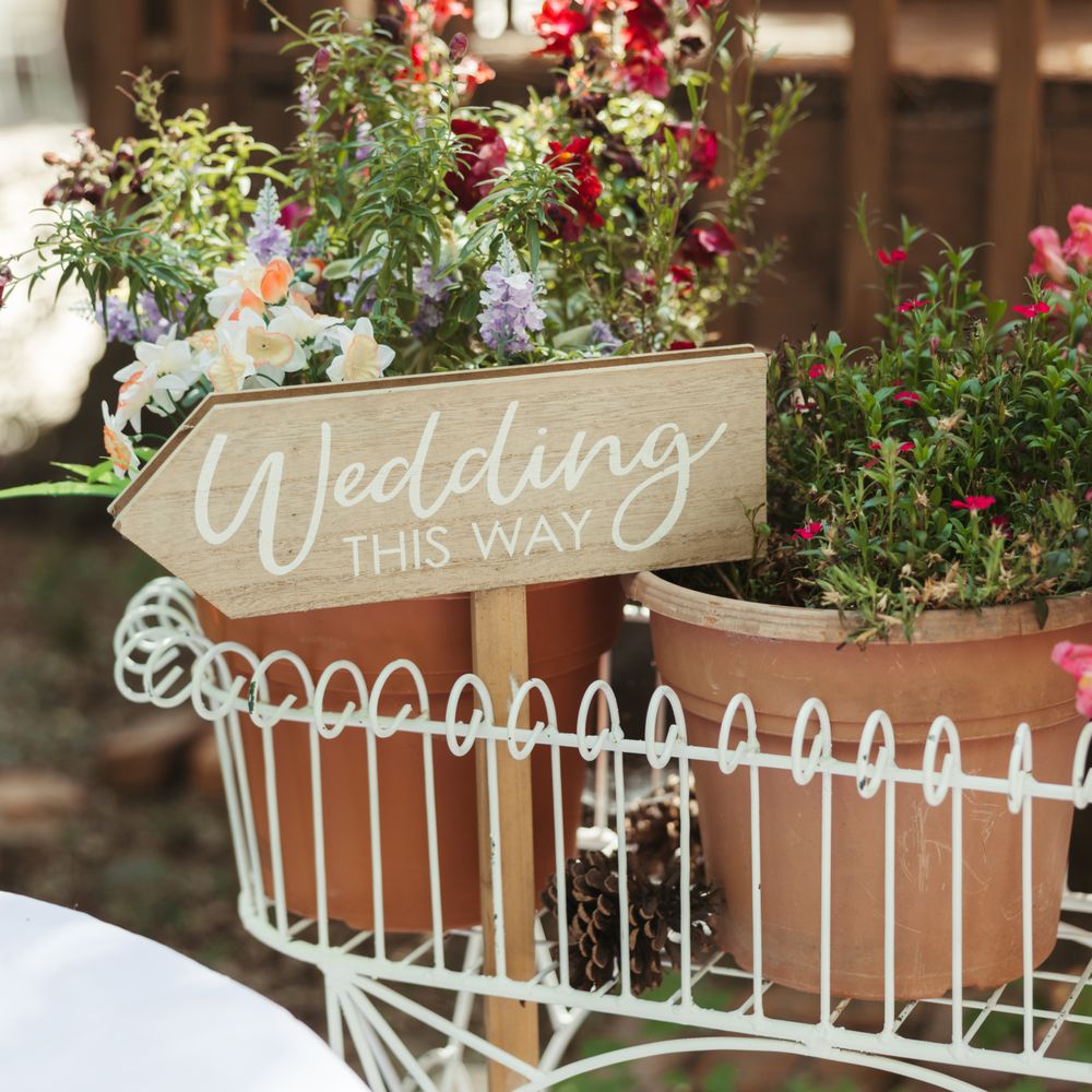 Willow Woods Park - Photography: https://www.corazonphotography.net/ - Venues & Event Spaces Near Me - Skyforest, California