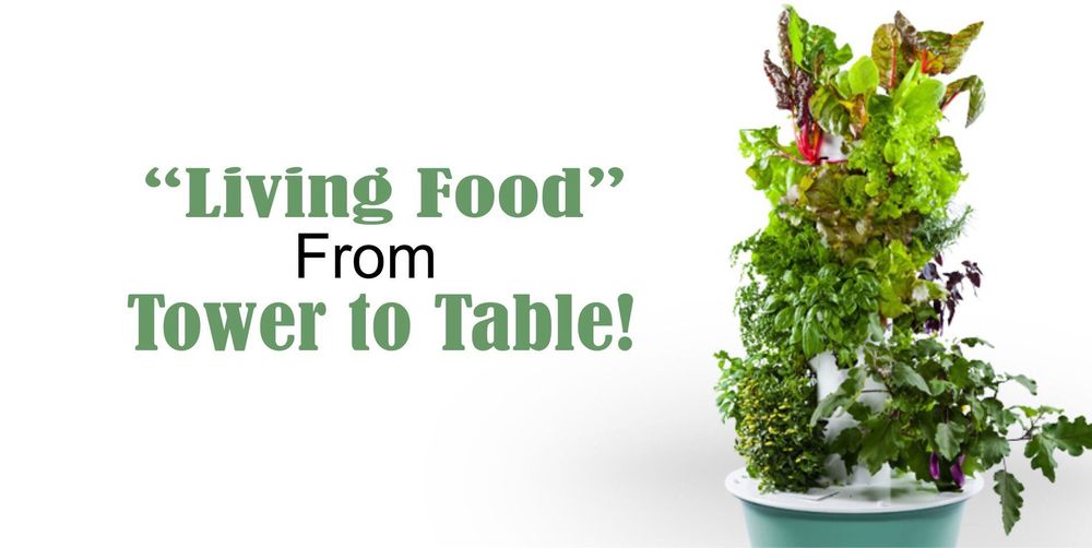 Faiths Grace Daycare - childcare center in Olathe, KS