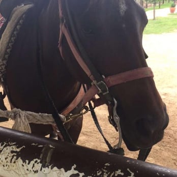 Benbrook Stables - Horseback Riding Near Me - Fort Worth, Texas